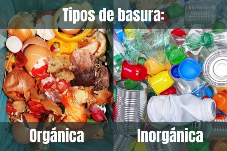🌍 Basura orgánica e inorgánica: ¿Qué son y por qué separarlas?